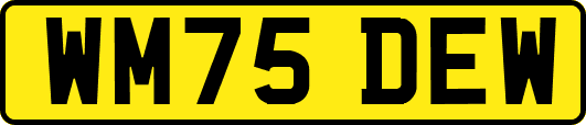 WM75DEW