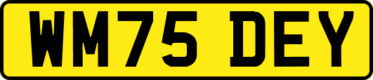 WM75DEY