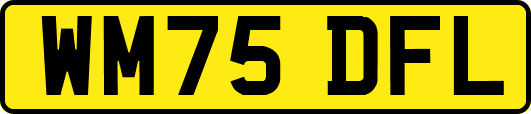 WM75DFL