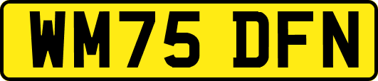 WM75DFN