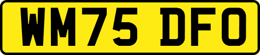WM75DFO