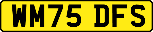WM75DFS