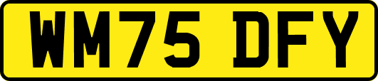 WM75DFY