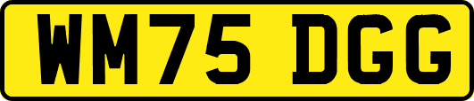 WM75DGG