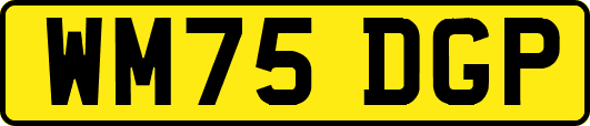 WM75DGP