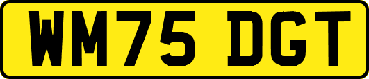 WM75DGT