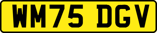 WM75DGV