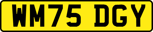 WM75DGY