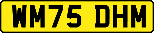 WM75DHM