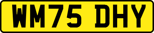 WM75DHY