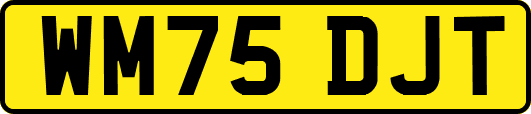 WM75DJT