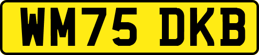 WM75DKB