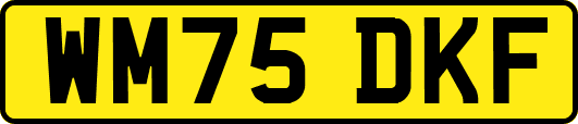 WM75DKF