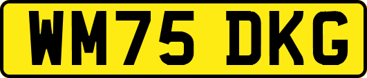 WM75DKG