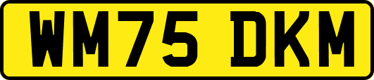 WM75DKM
