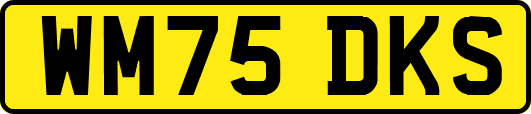 WM75DKS