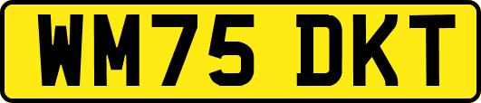 WM75DKT