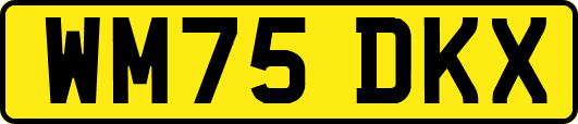 WM75DKX