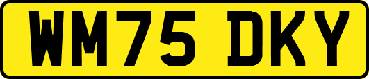 WM75DKY