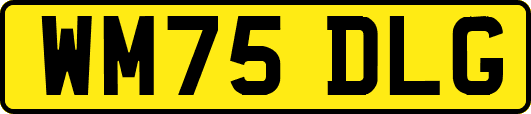 WM75DLG