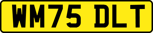 WM75DLT