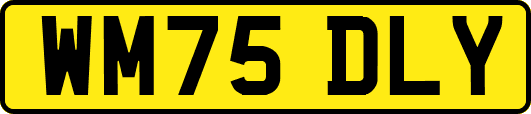 WM75DLY