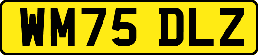 WM75DLZ