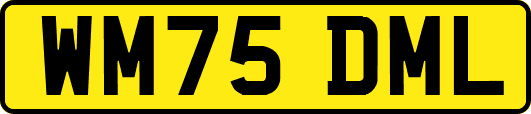 WM75DML