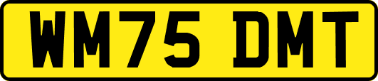WM75DMT