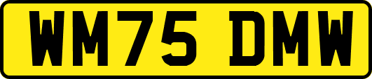 WM75DMW