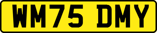 WM75DMY