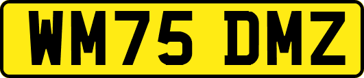 WM75DMZ
