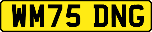 WM75DNG