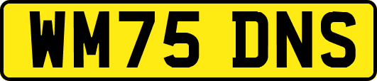 WM75DNS