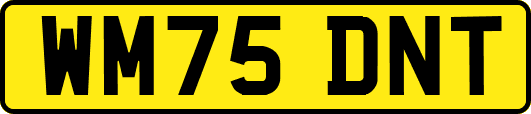 WM75DNT