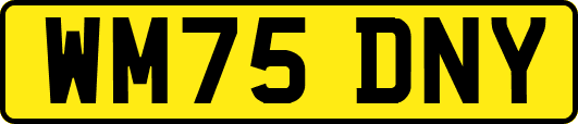 WM75DNY