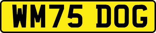 WM75DOG