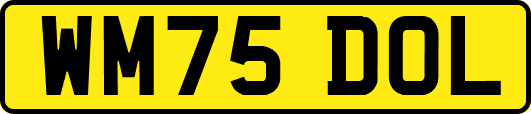 WM75DOL