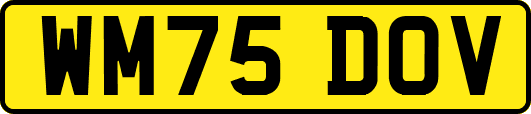 WM75DOV