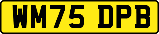 WM75DPB