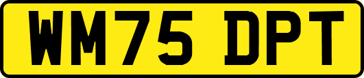 WM75DPT