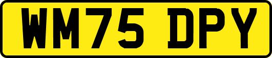 WM75DPY