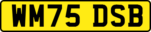 WM75DSB