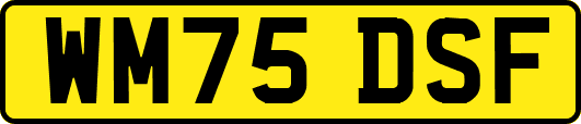 WM75DSF