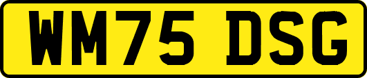 WM75DSG