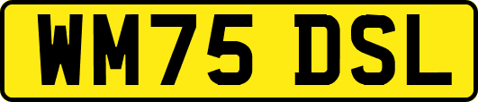 WM75DSL