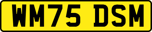 WM75DSM