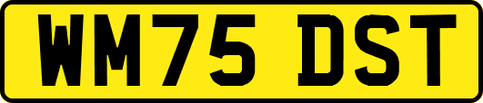 WM75DST