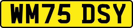 WM75DSY