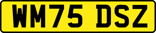 WM75DSZ